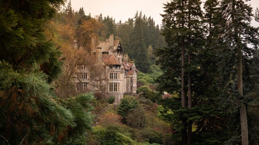 Cragside House nestled among the towering trees.